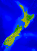 New Zealand Vegetation 592x800